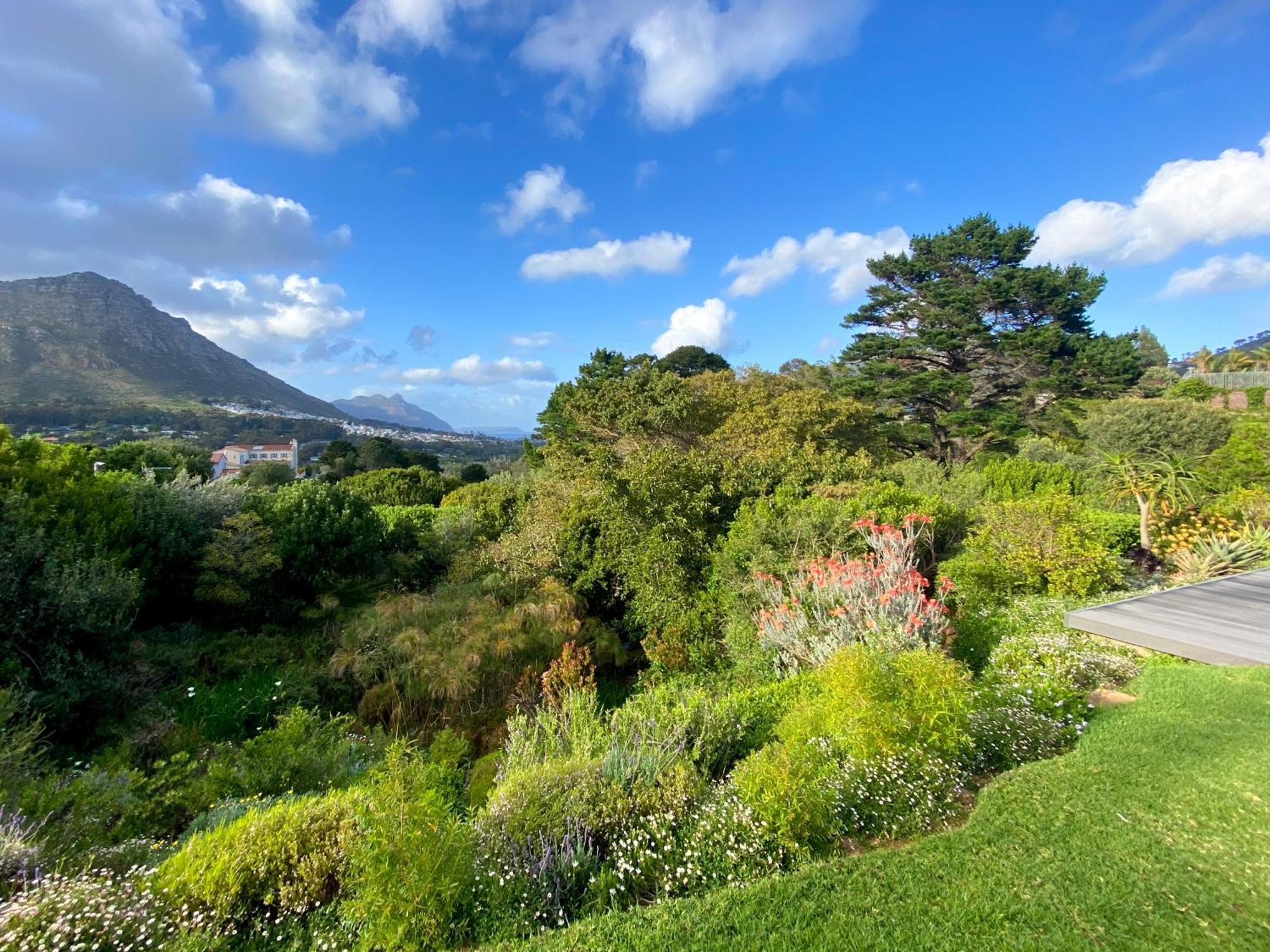 Luxe Family Home With Solar Power In Secure Hout Bay Estate Kapstaden Exteriör bild